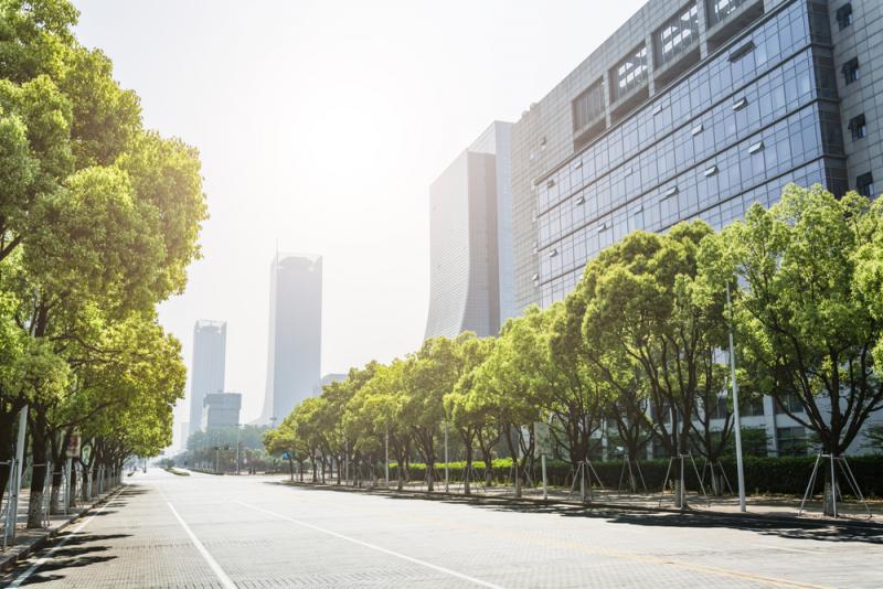 Urban landscape with trees lining a wide street, modern buildings in the background, bright sunlight illuminating the scene, representing landscaping and urban design in Arizona.