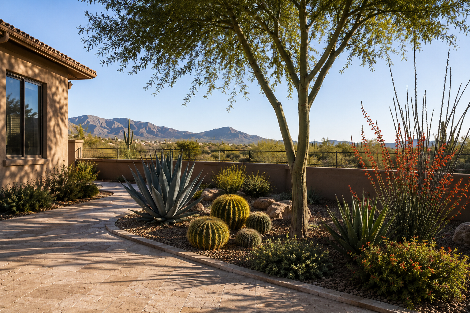 Landscape Design in Chandler, AZ: A Yard That Fits Your Life and the Desert