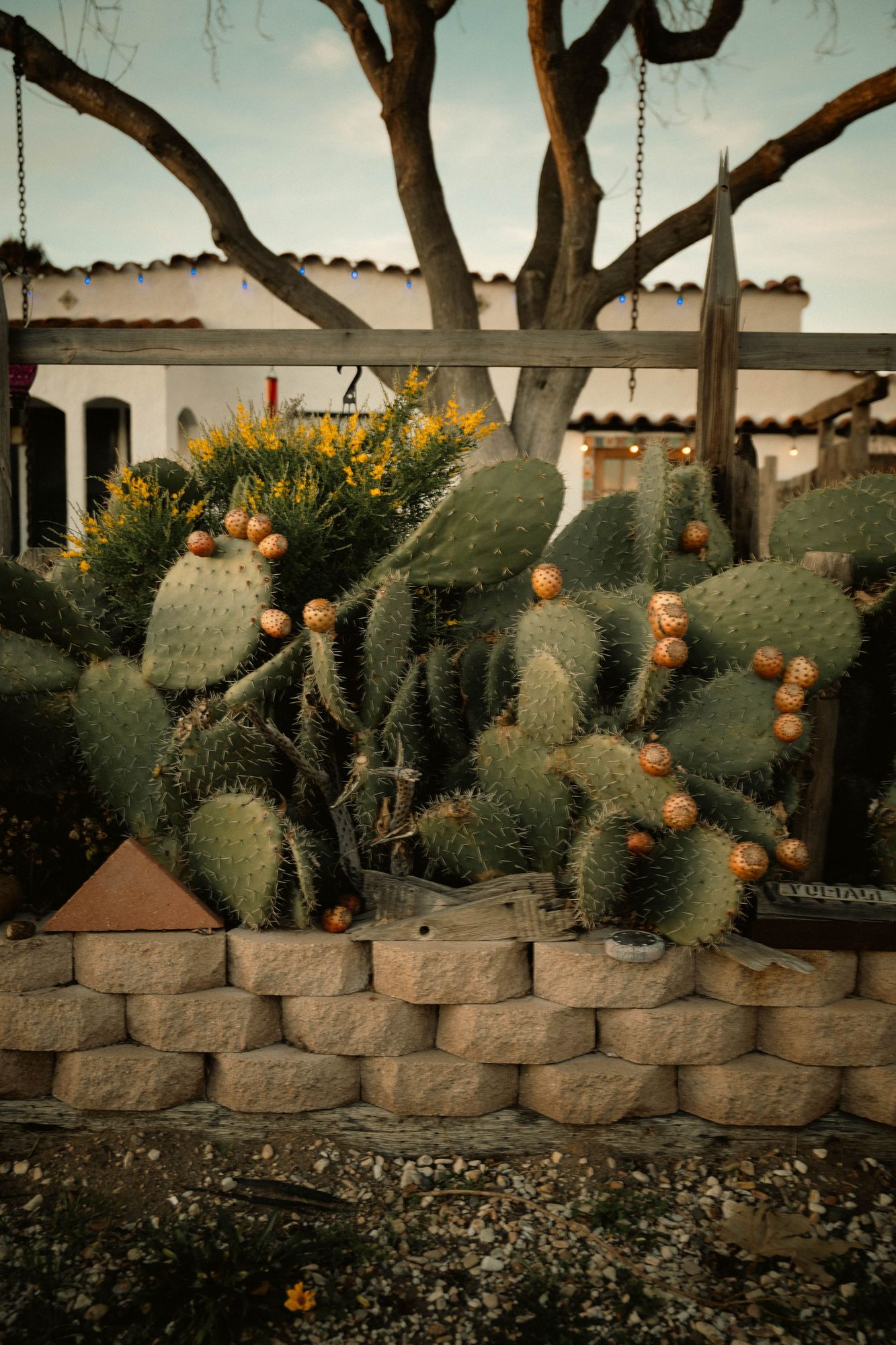 Landscape Design in Gilbert, AZ: A Yard That Fits Your Life and the Desert