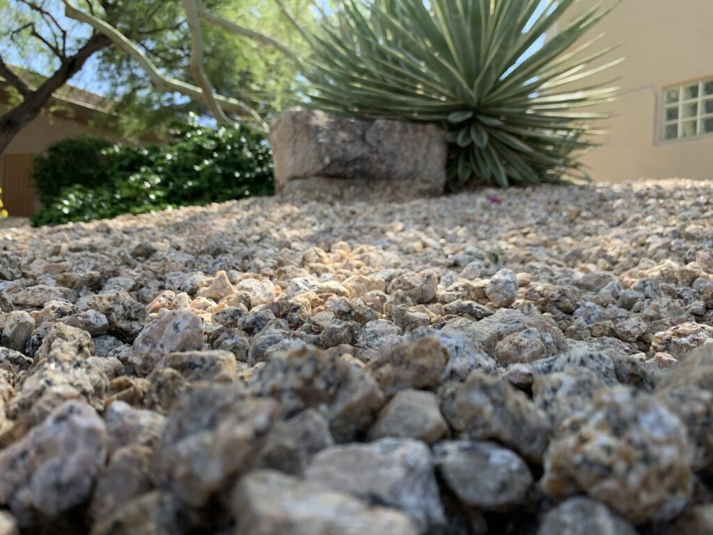 Decorative landscaping rocks and boulders in a desert garden setting with vibrant green plants, showcasing rock installation services by Core Landscape in Arizona.