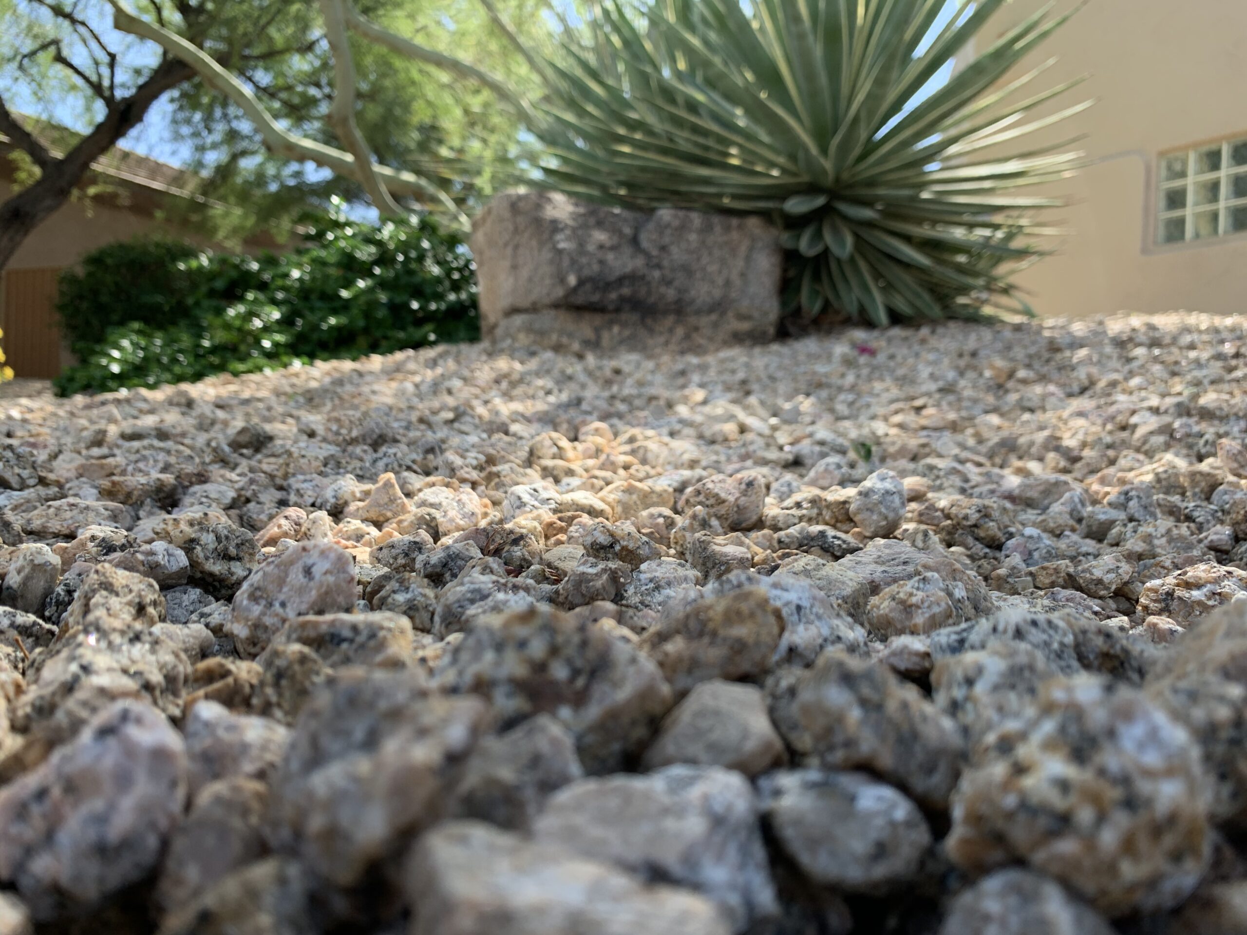Landscape featuring decorative gravel rocks with a desert plant, illustrating landscaping rock installation in Arizona.
