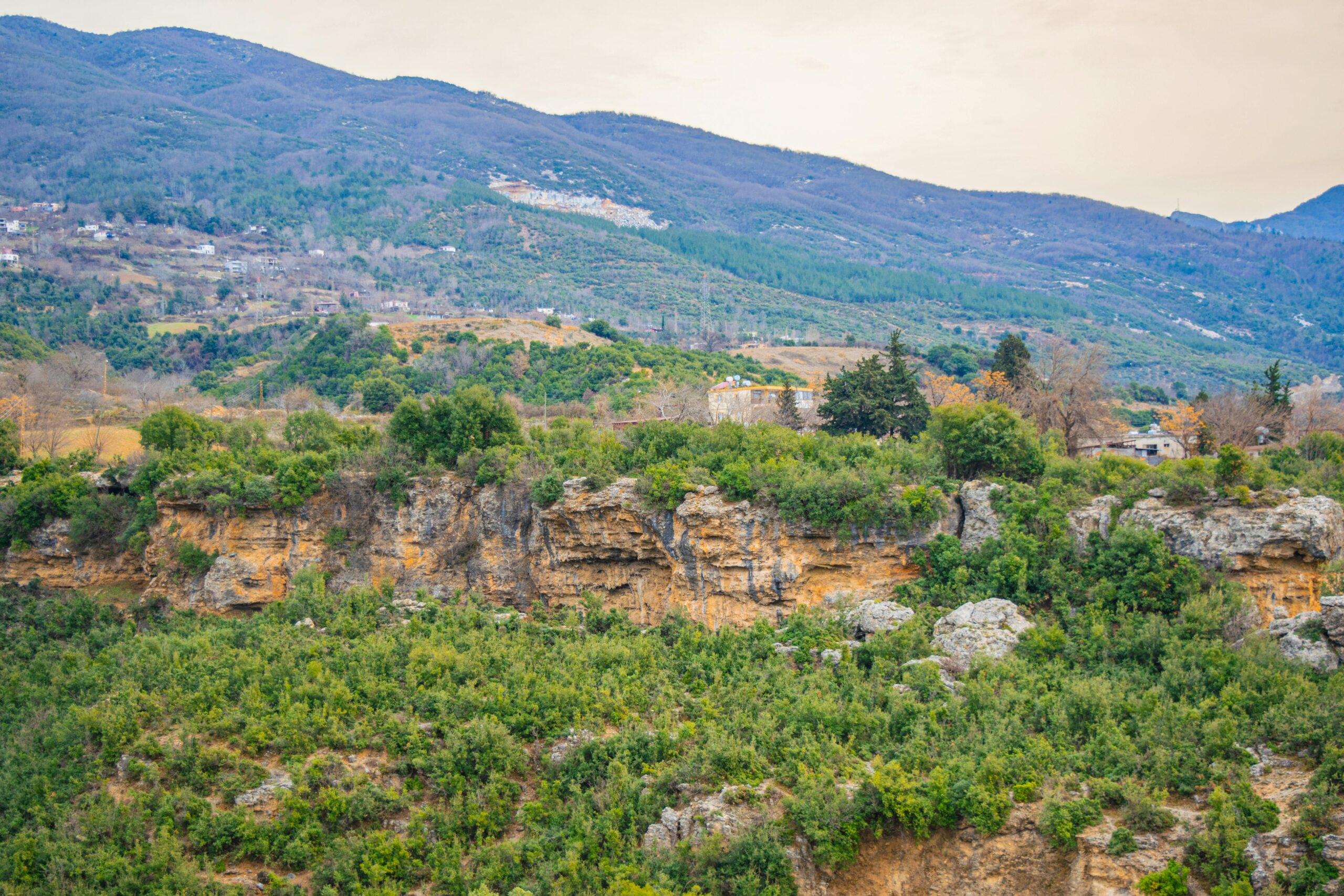 Core Landscape AZ - build